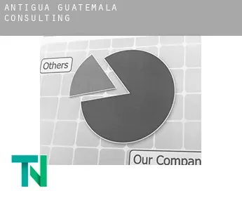 Antigua Guatemala  consulting