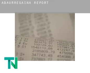 Abaurregaina / Abaurrea Alta  report