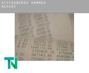 Åtvidabergs Kommun  report