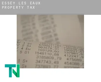 Essey-les-Eaux  property tax