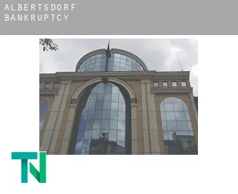 Albertsdorf  bankruptcy