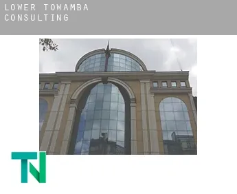 Lower Towamba  consulting