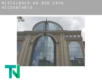 Politischer Bezirk Mistelbach an der Zaya  accountants