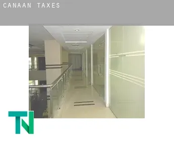 Canaan  taxes