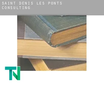 Saint-Denis-les-Ponts  consulting