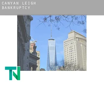 Canyan Leigh  bankruptcy