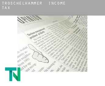 Troschelhammer  income tax