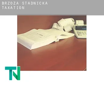 Brzóza Stadnicka  taxation