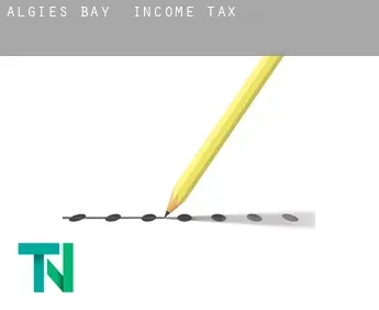 Algies Bay  income tax
