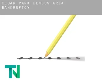 Cedar Park (census area)  bankruptcy
