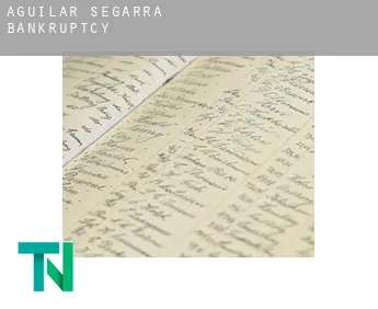 Aguilar de Segarra  bankruptcy