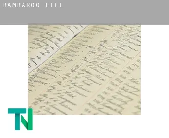Bambaroo  bill