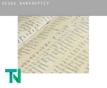 Sesué  bankruptcy