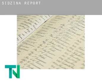 Sidzina  report