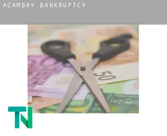 Acambay  bankruptcy