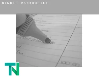 Binbee  bankruptcy