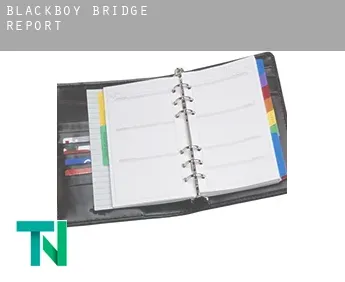 Blackboy Bridge  report