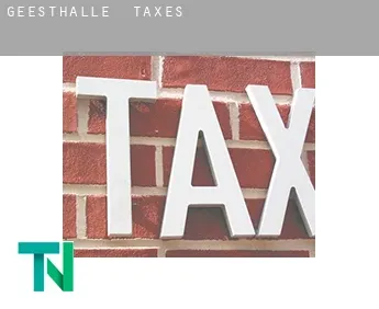 Geesthalle  taxes