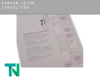 Canyan Leigh  consulting