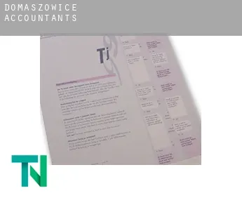 Domaszowice  accountants