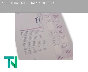 Niedersöst  bankruptcy