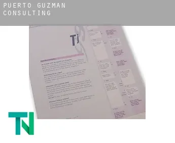 Puerto Guzmán  consulting