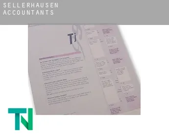 Sellerhausen  accountants