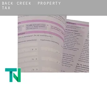Back Creek  property tax
