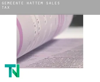 Gemeente Hattem  sales tax