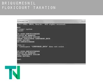 Briquemesnil-Floxicourt  taxation