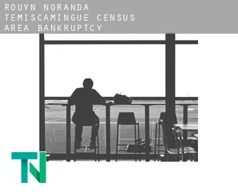 Rouyn-Noranda -Témiscamingue (census area)  bankruptcy