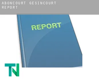 Aboncourt-Gesincourt  report