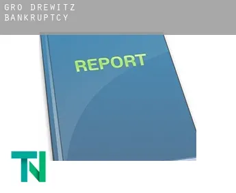 Groß Drewitz  bankruptcy