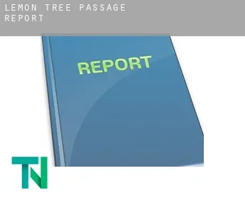 Lemon Tree Passage  report