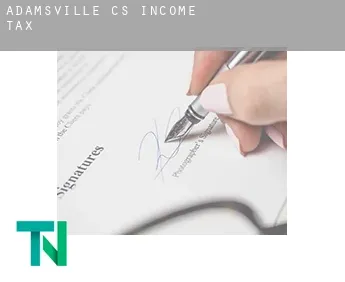 Adamsville (census area)  income tax