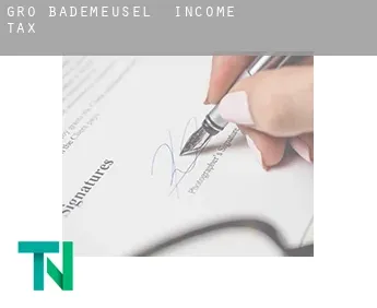 Groß Bademeusel  income tax