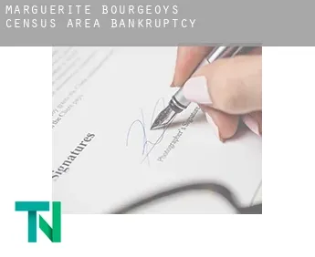 Marguerite-Bourgeoys (census area)  bankruptcy