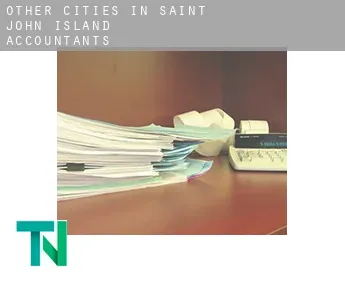 Other cities in Saint John Island  accountants